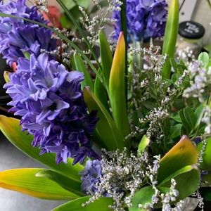 Meet your Posher, Neshat